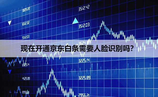 现在开通京东白条需要人脸识别吗？附白条开通流程图