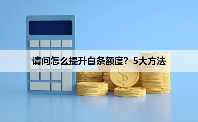 请问怎么提升白条额度？5大方法轻松帮你解决