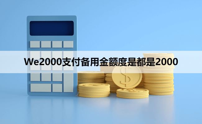 We2000支付备用金额度是都是2000吗？