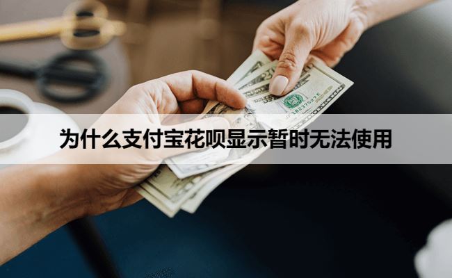为什么支付宝花呗显示暂时无法使用该服务？