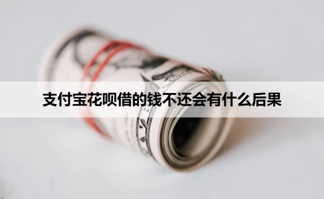 支付宝花呗借的钱不还会有什么后果？