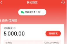 京东白条如何使用，2026年最新京东白条使用的方法
