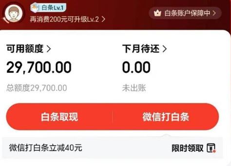 京东白条是什么？2026年最新白条和花呗的十七大区别，你都知道吗？